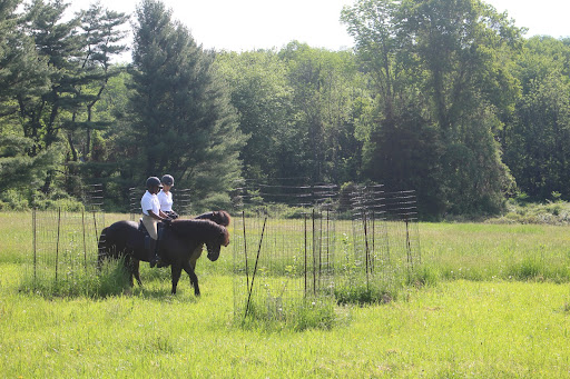 This part of the Pace went through a newly planted fruit orchard. This is where an orchard grew years ago and is now being restored. The trees are protected by wire cages.