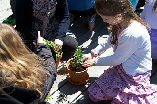 Mary Pace, daughter or post production supervisor Molly Bradford tamped down the soil around her lemon verbena plant