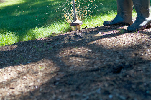 When fallen leaves are removed, the trees on your property are forced to compete with turf and other vegetation for any remaining food supply and water.