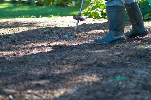 Not too many people realize that in an urban or suburban environment, nutrient deficiencies are a particular danger to the health of your trees.