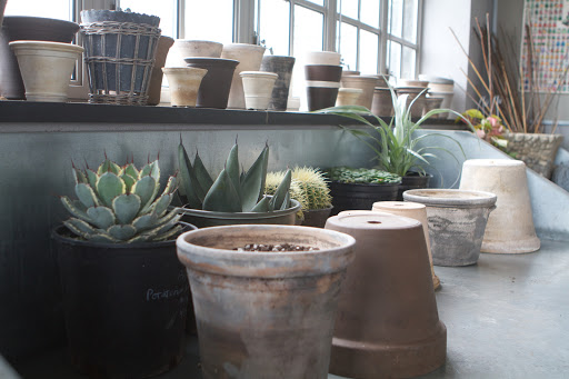 The new plants were lined up on the work table in the head house and appropriate pots were chosen. The size of the pot is a major consideration, but for aesthetics, so is the color and shape.