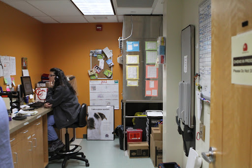 The chemotherapy room