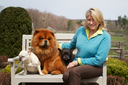 Francesca, Sharkey and GK's adventures are endless! Follow them daily on their blog at http://www.thedailywag.com