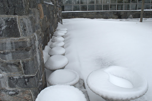 More urns that need to be covered or stored indoors