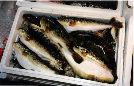 The fish comes from local Japanese waters and from the waters of 60 other nations.