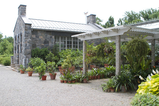Several years ago, I had this shade pergola built behind the main greenhouse, adjacent to the headhouse.