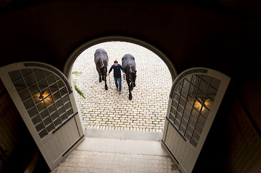 This is a great shot taken from the loft of two Friesians being led into the stable across the cobblestone courtyard.