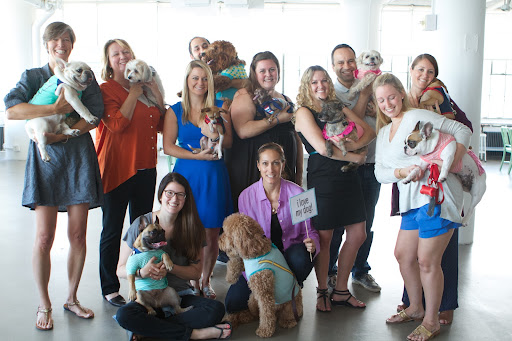 A few employees gathered for a group photo to show off their pet's new Martha Stewart Pets clothing!