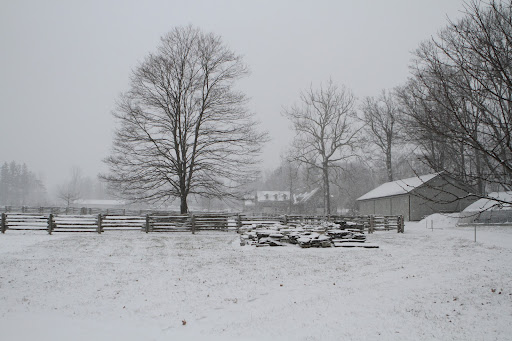 From the coops, this is the view looking towards the stable. The pile in the foreground is the stone yard, where surplus stone used around the farm is kept.