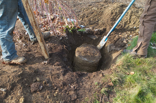 Replacing a post is labor intensive. The posts are held upright by cement footings. The footings had to be unearthed and dug out. Each one is the equivalent of one bag of concrete mix.
