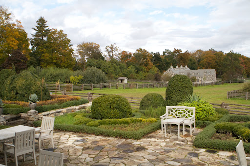 It's mid-October and here in Westchester County, New York, the autumn colors just aren't all that spectacular. Most of the trees seem to be turning a deep yellow and gold. This past week, the terrace umbrellas were put in winter storage.