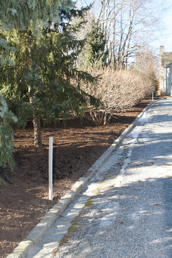 The long bed along the driveway leading to my house has also been cleared and composted. It, too, looks neat and trim.