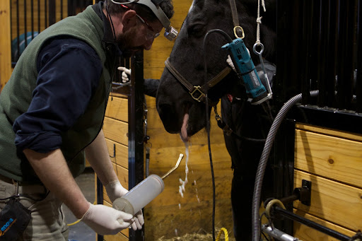PJ flushed the area of any potential loose fragments and left over material in preparation for a second x-ray.