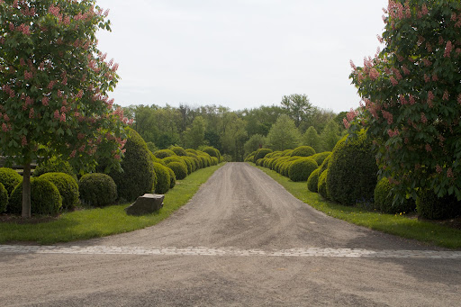 I'm so worried about boxwood blight, a difficult disease that can decimate entire hedges. We take great care in keeping these boxwood healthy. Several ladies said they have boxwood afflicted with blight.