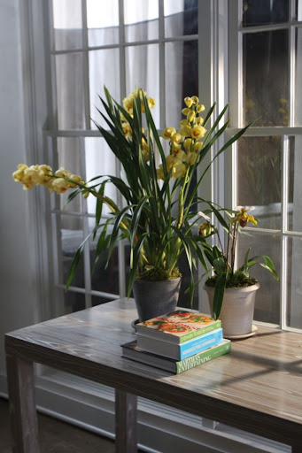 The background was decorated with some of my favorite flowers - lovely cymbidium and lady slipper orchids and, of course, a small stack of my books.