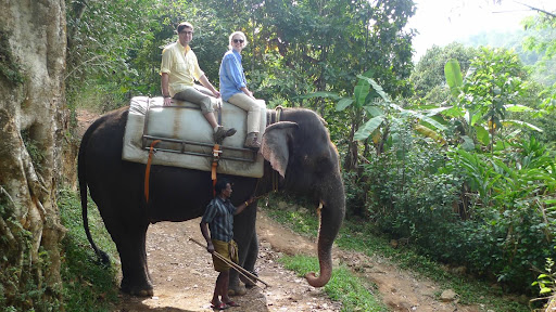 After our hike, we went to nearby Munnar to an elephant sanctuary called Elephant Junction. Here, rescued elephants are protected from poachers and are trained to give rides and demonstrations for tourists. My husband, Will, and I rode an elephant named Mira. Each elephant has one trainer that they work with for years before they are ready to interact with tourists.
