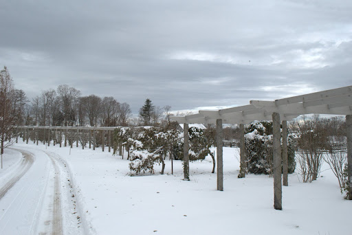 Passing by the long pergola again