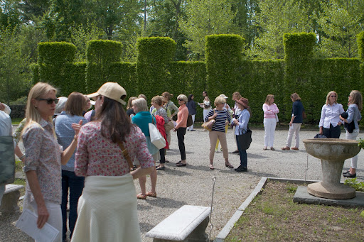 Questions were asked about how this hornbeam hedge was pruned, resembling a crenelated castle wall.