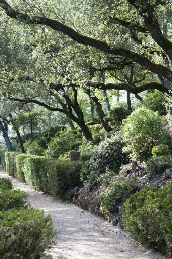 A pathway at the Jardins de Marqueyssac