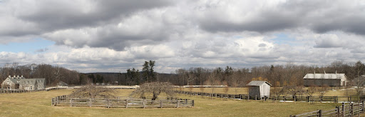 This is what the farm looked like on March 1, 2013. Things still look cold and bleak.