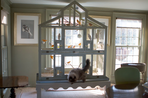 One of the places I like to use these lamps is next to my canary cage. I designed this cage after one that came from France, built around 1900, probably to house doves or quails. Bartok would love to get inside with the canaries!