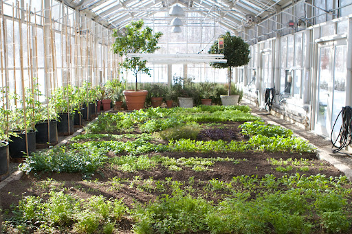 The interior is toasty and warm and there are many vegetables and herbs thriving in the rich and loamy raised beds.