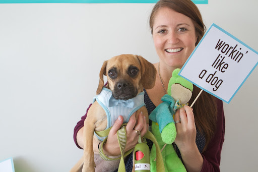 Here is Jess Stonehouse and her cute dog Mabel, wearing the Bow Tie Striped Harness from the Garden Party line, paired with a green and white striped leash from the 2014 Spring line.