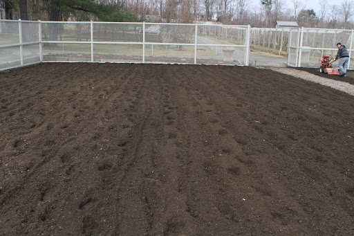 After years of growing vegetables here, this soil is very fertile and quite rich in organic composted material.