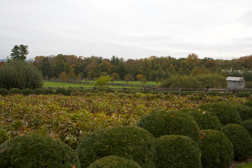 Time lapse - Less than a week later and the landscape had really changed.
