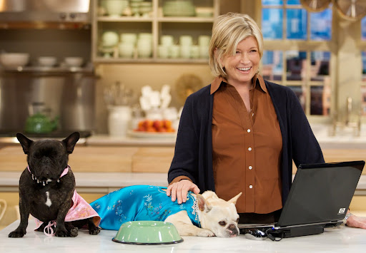 My frequent guest stars, Francesca and Sharkey - Be sure to read about their adventures on The Daily Wag. http://thedailywag.com/