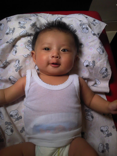 Caristelina, 3 months old