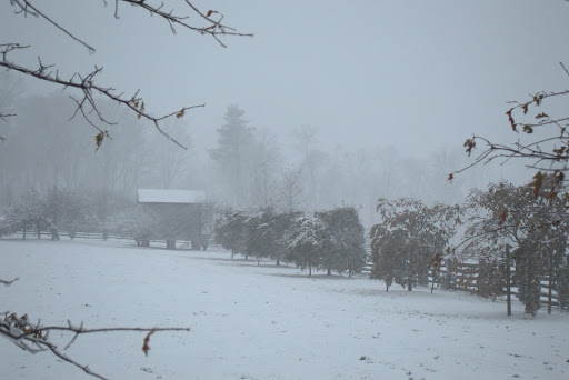 From the same area, a view of the corn crib