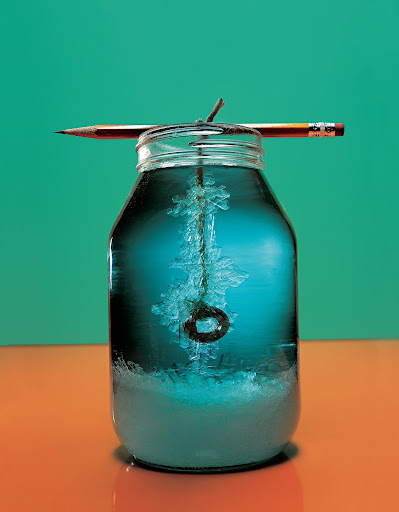 Crystals: Growing tiny salt crystals into gigantic ones is fascinating to observe and record. You’ll need patience for this monster salt crystals project - it takes several days, but it’s well worth it.