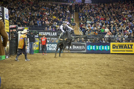 The PBR was created in 1992 when a group of 20 bull riders broke away from the traditional rodeo scene seeking mainstream attention for the sport of professional bull riding.