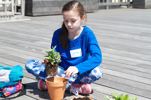 Caroline Reynolds, daughter of AVP, Internet CMS & Application Development John Reynolds focuses on planting her zinnia