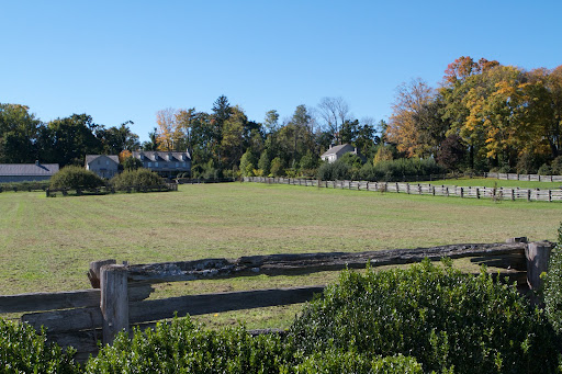 A view towards my house from the boxwood allee