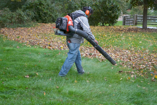 The guys have been busy keeping on top of the leaf-removal chore.