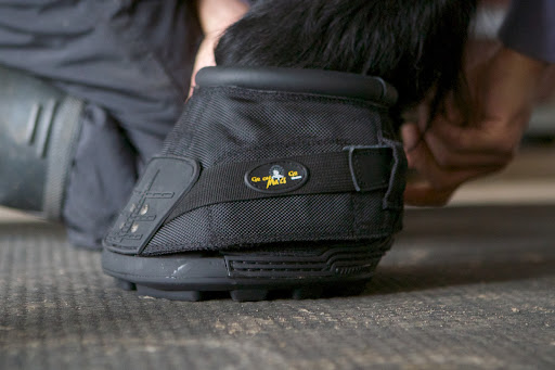 The outside buckle is fastened for extra security.