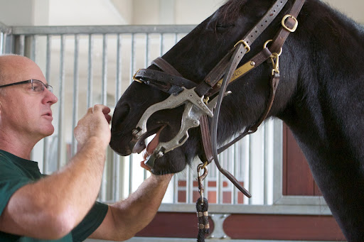 To reach the back molars, a full mouth speculum is fitted into the mouth to hold it open. Those sharp hooks eventually begin to cut the cheek or tongue.