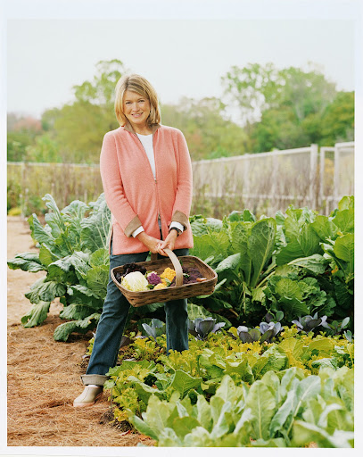 I believe in eating real food. I grow much of what I eat because I love to garden. But even when I’m food shopping or eating out, the same principle applies: quality and purity matter.