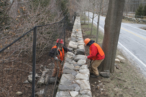Certain areas of the wall needed repair because tree roots beneath the soil have caused the stones to shift and loosen.