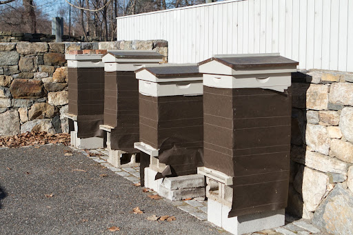 The beehives are wrapped with black roofing material to keep out the cold and to absorb the warmth of the sun. The hives have also been moved to this protective nook, away from the frigid north winds.