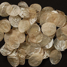 Honesty was brought to America by the Puritans and is also called Judas' Penny and Moonwort. The seed pods are used in dried flower arrangements.