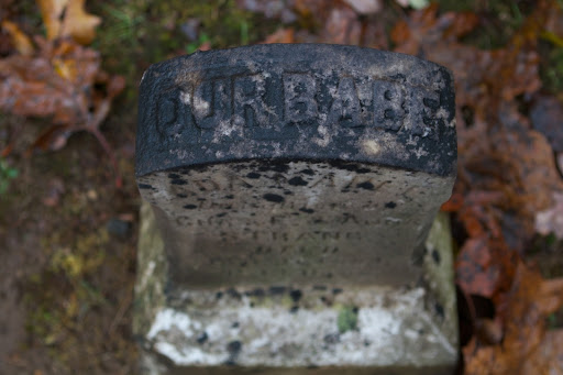 The top of the stone is badly blackened by acid rain.