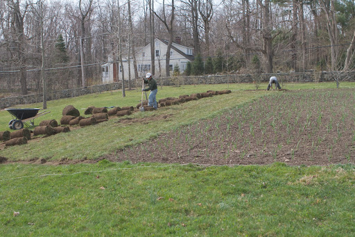 We had so much luck growing pumpkins in this spot last season that we decided to enlarge the growing area. A sod cutter was used to cut through the turf.