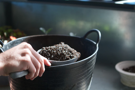 A good potting mix is scooped