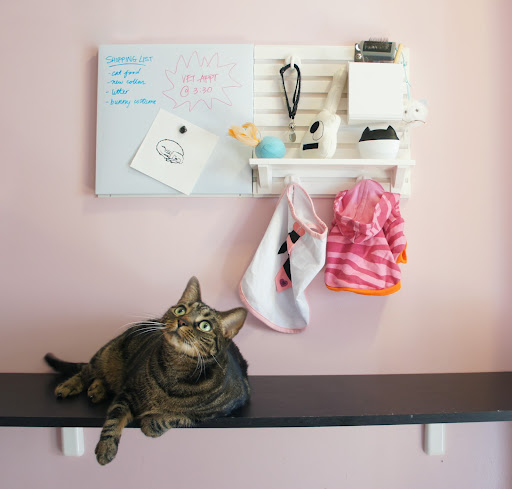 Another designer from my office, Lisa Yen, used two different set ups to cater to her pets and their needs.