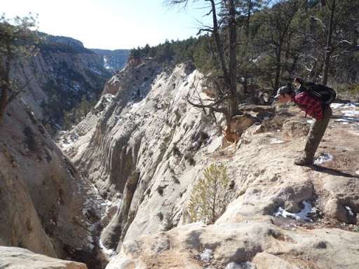 Molly Bloom - My boyfriend, Jonathan, looking down into Jolley Gulch in Zion