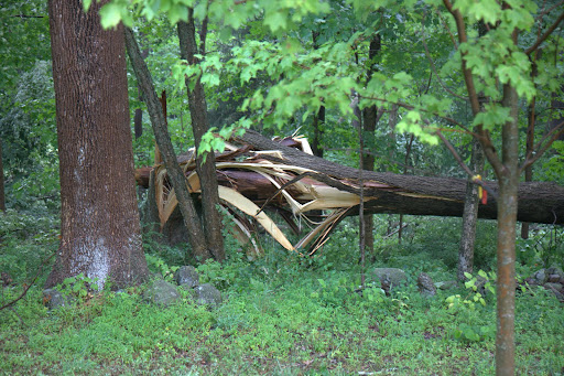This one really looks twisted!