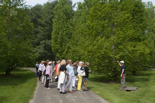 The ladies were curious about this grove of metasequoia or dawn redwood. These deciduous conifers were thought to be extinct until 1944, when a small stand of trees was rediscovered in China. Today, these popular fast-growing trees can be found throughout the world.